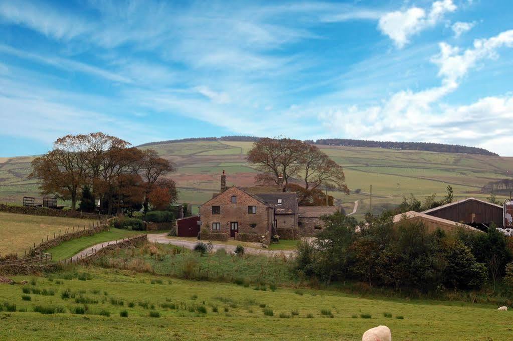 ماكليسفيلد Common Barn Farm B & B المظهر الخارجي الصورة